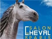 Bóng đá anh, ngoại hạng anh, lịch thi đấu euro 2012, Paris tổ chức lễ hội diễu hành ngựa với quy mô lớn 